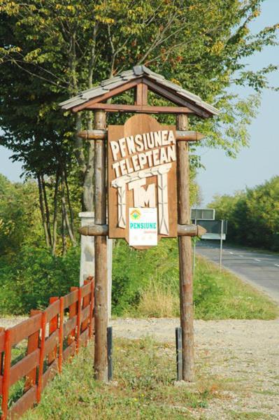 Pension Teleptean Ocna Sugatag Bagian luar foto