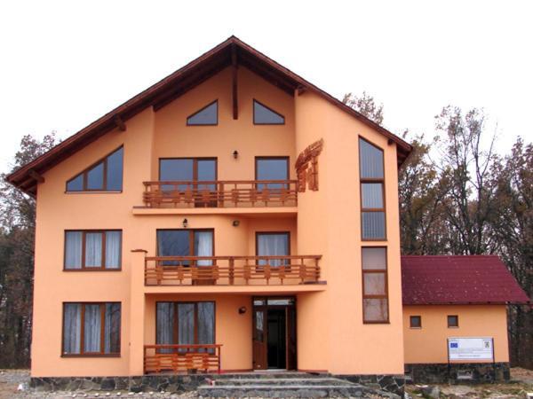 Pension Teleptean Ocna Sugatag Bagian luar foto